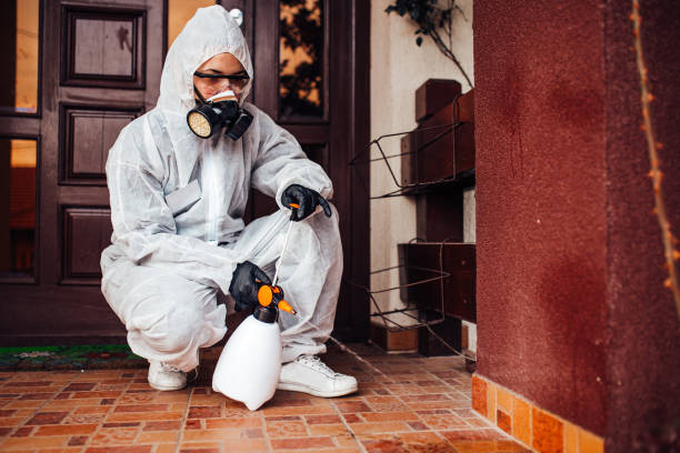 Reliable Wasp Removal contractor in Croom, MD by Show Me Pest Control